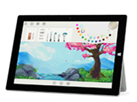 盐田Surface 无法开启、Windows 无法启动或电池无法充电